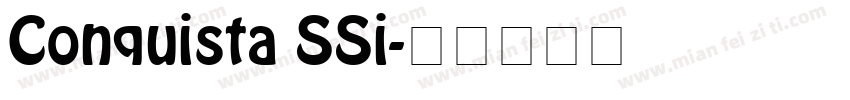 Conquista SSi字体转换